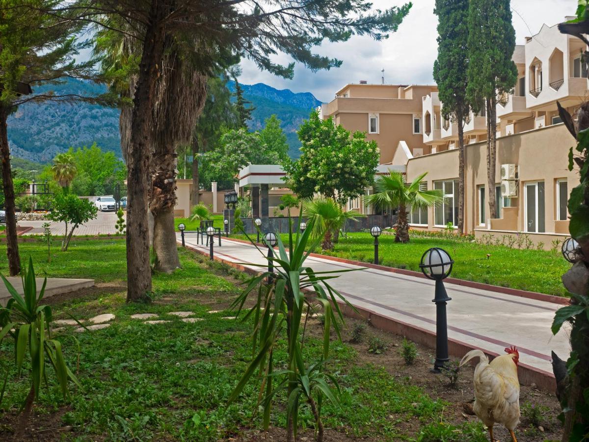 Alexius Beach Hotel 贝尔迪比 外观 照片